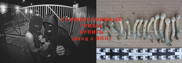 гидра Каменск-Шахтинский