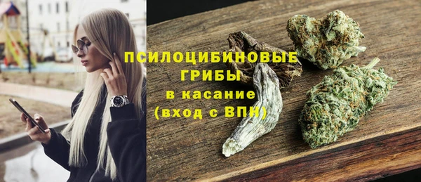 мдпв Карталы