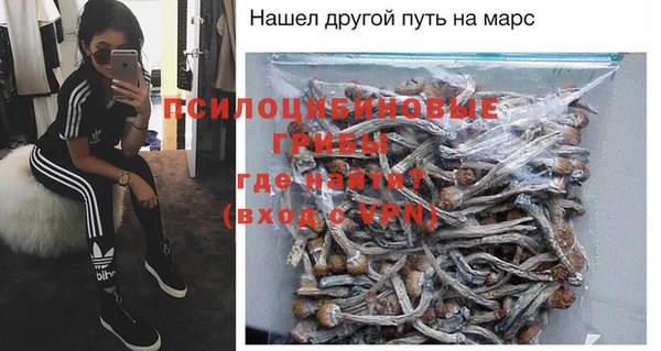 гидра Каменск-Шахтинский