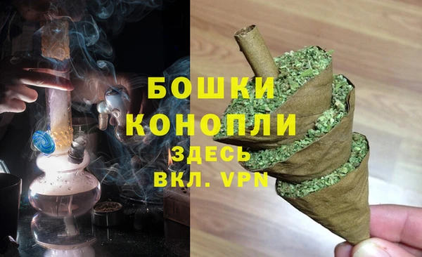 гидра Каменск-Шахтинский