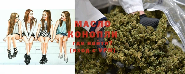 гашик Каменногорск
