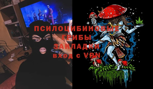 гашик Каменногорск
