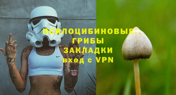гидра Каменск-Шахтинский